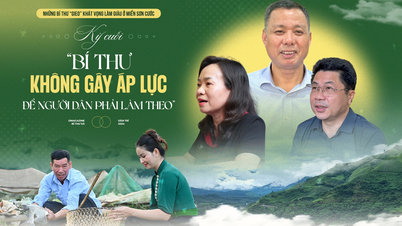 "លេខាធិការមិនដាក់សម្ពាធឱ្យមនុស្សធ្វើតាម"