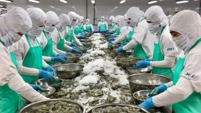 Cơ hội mở rộng xuất khẩu nông, lâm, thủy sản