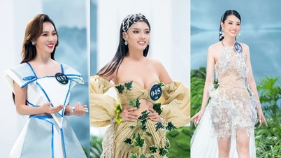 12 mỹ nhân nổi bật nhất khi trình diễn trang phục "độc, lạ" trước chung kết Miss Earth Vietnam 2023