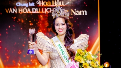 នាយកប្រតិបត្តិក្រុមហ៊ុនសៀវភៅ ឈ្នះពានបវរកញ្ញាវប្បធម៌ និងទេសចរណ៍វៀតណាម
