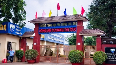 សិស្ស Gia Lai ចូលមន្ទីរពេទ្យដោយសារក្អួត៖ គំរូឆ្លងមេរោគ E.coli