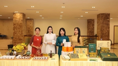 Building value chain, bringing tea products far and wide