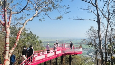 ភ្ញាក់​ផ្អើល​ចំពោះ​ចំនួន​ភ្ញៀវ​ទៅ​លេង​ខេត្ត An Giang និង Dong Thap ក្នុង​អំឡុង​ពេល Tet