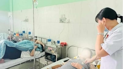 Đình chỉ hoạt động, kiểm tra, truy xuất nguồn thực phẩm bánh mì Phượng