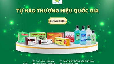 Traphaco is honored to receive the title of Vietnam National Brand 2024 for 8 product brands.