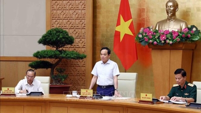 ឧបនាយករដ្ឋមន្ត្រី Tran Luu Quang៖ ប្រសិនបើយើងមិនប្តេជ្ញាដក 'កាតលឿង' ទេ វាអាចក្លាយជា 'កាតក្រហម'