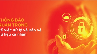 MSB announces the implementation of Decree No. 13/2023/ND-CP on protection and processing of personal data