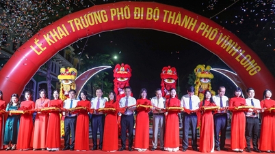Vinh Long បើកផ្លូវដើរនៅគម្រោង T&T Group