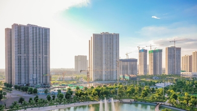 Thị trường bất động sản ảm đạm, giá chung cư Hà Nội vẫn tăng