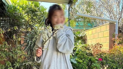 New developments in the case of a Vietnamese student mysteriously missing in Australia