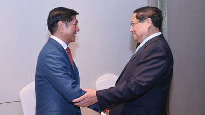 Philippines asks Vietnam to continue supporting food security