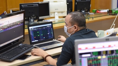 Một cổ phiếu bất ngờ tăng vọt lên cao nhất sàn chứng khoán