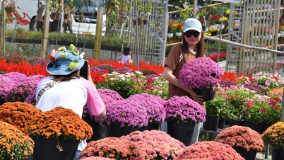 Changing the economic thinking of ornamental flowers