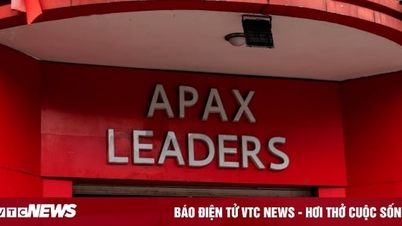 រឿងអាស្រូវនៅ Apax Leaders មុនពេល Shark Thuy ត្រូវបានកាត់ទោស