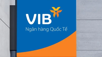 Cancellation of sale of more than 2.6 million shares of a woman related to VIB Chairman Dang Khac Vy