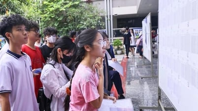 Không áp lực, phù hợp với chuyển đổi số