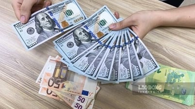 Giá USD sụt giảm nhẹ phiên đầu tuần