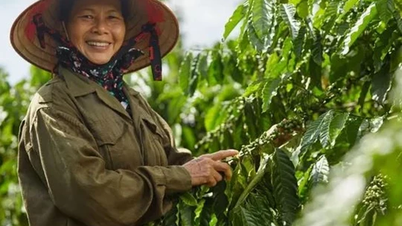 Việt Nam thuộc top đầu ASEAN về "đầu tư tác động"