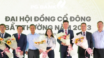 ការផ្លាស់ប្តូរបុគ្គលិកកម្រិតខ្ពស់នៅធនាគារ PG តើលោក Dao Phong Truc Dai ជានរណា?