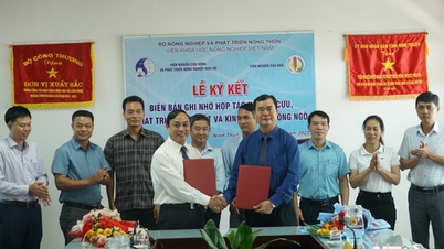 ពិធីចុះហត្ថលេខាលើអនុស្សារណៈយោគយល់គ្នាស្តីពីកិច្ចសហប្រតិបត្តិការក្នុងការស្រាវជ្រាវ ការអភិវឌ្ឍន៍ ការផលិត និងការជួញដូរពូជពោត