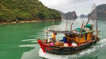 Kỳ thú vịnh Bái Tử Long