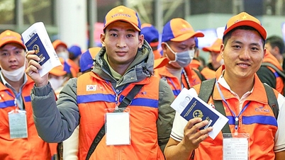 Hàn Quốc, Nhật Bản tăng chỉ tiêu tiếp nhận lao động Việt Nam