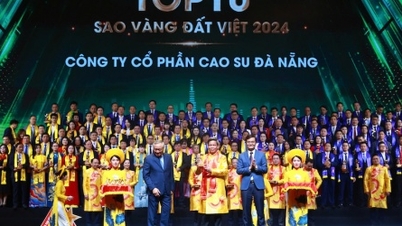 DRC ជាប់ចំណាត់ថ្នាក់កំពូលតារាមាសទាំង ១០ របស់វៀតណាម