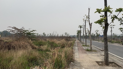 Cần cơ chế đặc thù