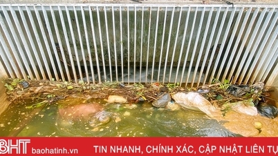Rác thải sinh hoạt “kẹt cứng” tại lưới chắn kênh Ngàn Trươi