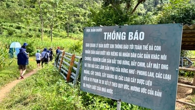 Bản làng quy định 'bắt một con cá suối đền 20 cân thóc'