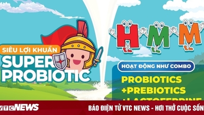 Lactobacillus Fermentum CECT5716 - Probiotics ដើម្បីជួយទារកឡើងទម្ងន់