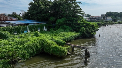 សំណើ​ដោះស្រាយ​ការ​ទទួល​ខុស​ត្រូវ​ទាក់​ទង​នឹង​គម្រោង​បង្ការ​ការ​បាក់​ដី​នៅ​ឧបទ្វីប Thanh Da