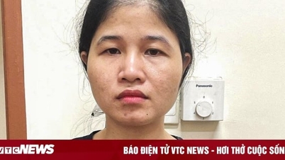 Nữ cán bộ địa chính làm sổ đỏ giả, chiếm đoạt gần 3,7 tỷ đồng