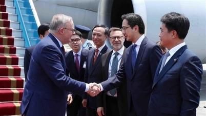 Thủ tướng Australia Anthony Albanese đến Hà Nội, bắt đầu thăm chính thức Việt Nam