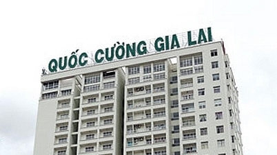 Quoc Cuong Gia Lai (QCG) shares are cut off from margin trading