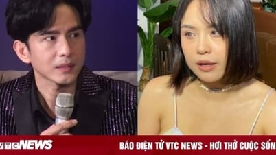 Lý do quản lý Đan Trường quyết kiện Dương Edward mà 'tha' Thái Trinh, Bằng Cường