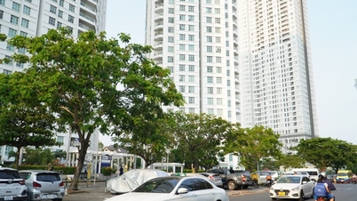 Cấp hơn 22.000 sổ hồng trong năm 2023