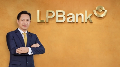 ក្រុមប្រឹក្សាភិបាលរបស់ LPBank បានជ្រើសរើសលោក Le Minh Tam ឱ្យកាន់តំណែងជាអនុប្រធានក្រុមប្រឹក្សាភិបាល។