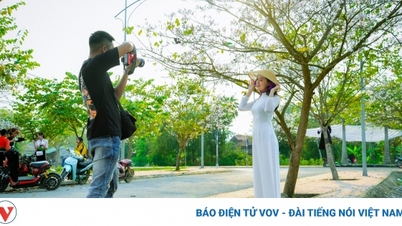 ផ្កា Ban - ផ្កានៃភ្នំនិងព្រៃនៃ Dien Bien និងភាគពាយព្យ
