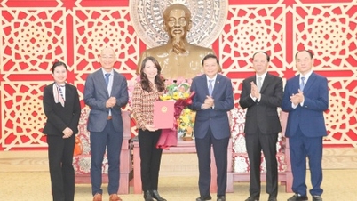 Nghe An ផ្តល់វិញ្ញាបនបត្រចុះបញ្ជីវិនិយោគសម្រាប់គម្រោងសួនឧស្សាហកម្មតម្លៃ ១.២០០ពាន់លានដុង