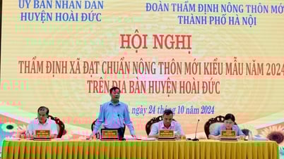 ទីក្រុងហាណូយវាយតម្លៃឃុំជនបទគំរូថ្មីនៅស្រុក Hoai Duc