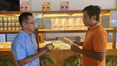 Khánh Hòa phát triển sản phẩm OCOP thế mạnh, đặc trưng