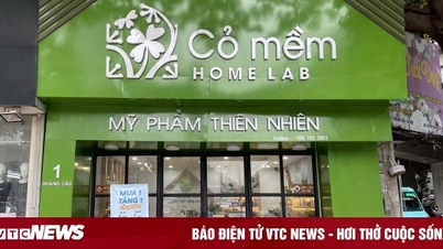 8 năm ghi dấu với chuỗi cửa hàng độc quyền trên cả nước