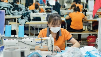UOB hạ dự báo tăng trưởng kinh tế Việt Nam xuống còn 5,0%