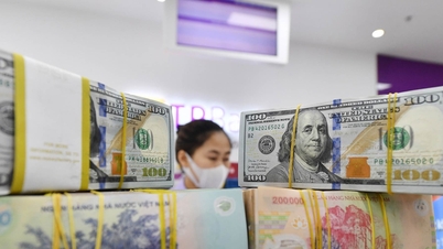 Giá USD ngân hàng đồng loạt lao dốc