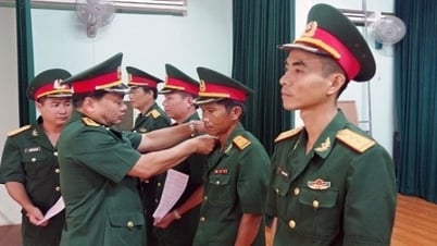 ប្រាក់ខែរបស់ទាហានអាជីពត្រូវគ្នានឹងឋានៈយោធារបស់គាត់។