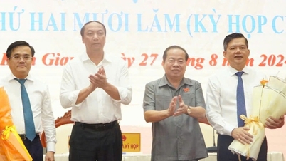 Kiên Giang có tân Phó Chủ tịch UBND tỉnh