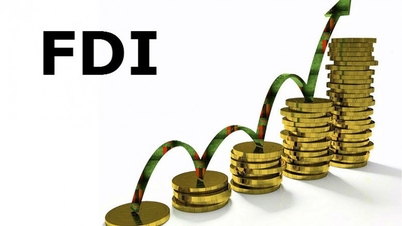 EVFTA tạo ra cơ hội hút đầu tư nước ngoài vào Việt Nam