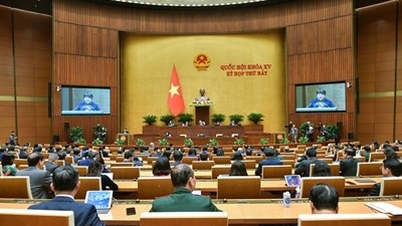 Quốc hội thông qua quy định về hưởng bảo hiểm xã hội một lần