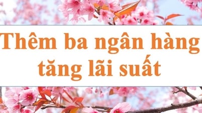 Thêm ba ngân hàng tăng lãi suất